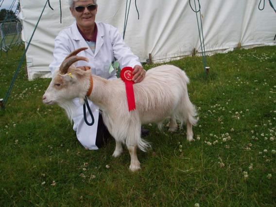 Bridgendshow003