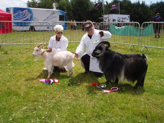 Bridgendshow011