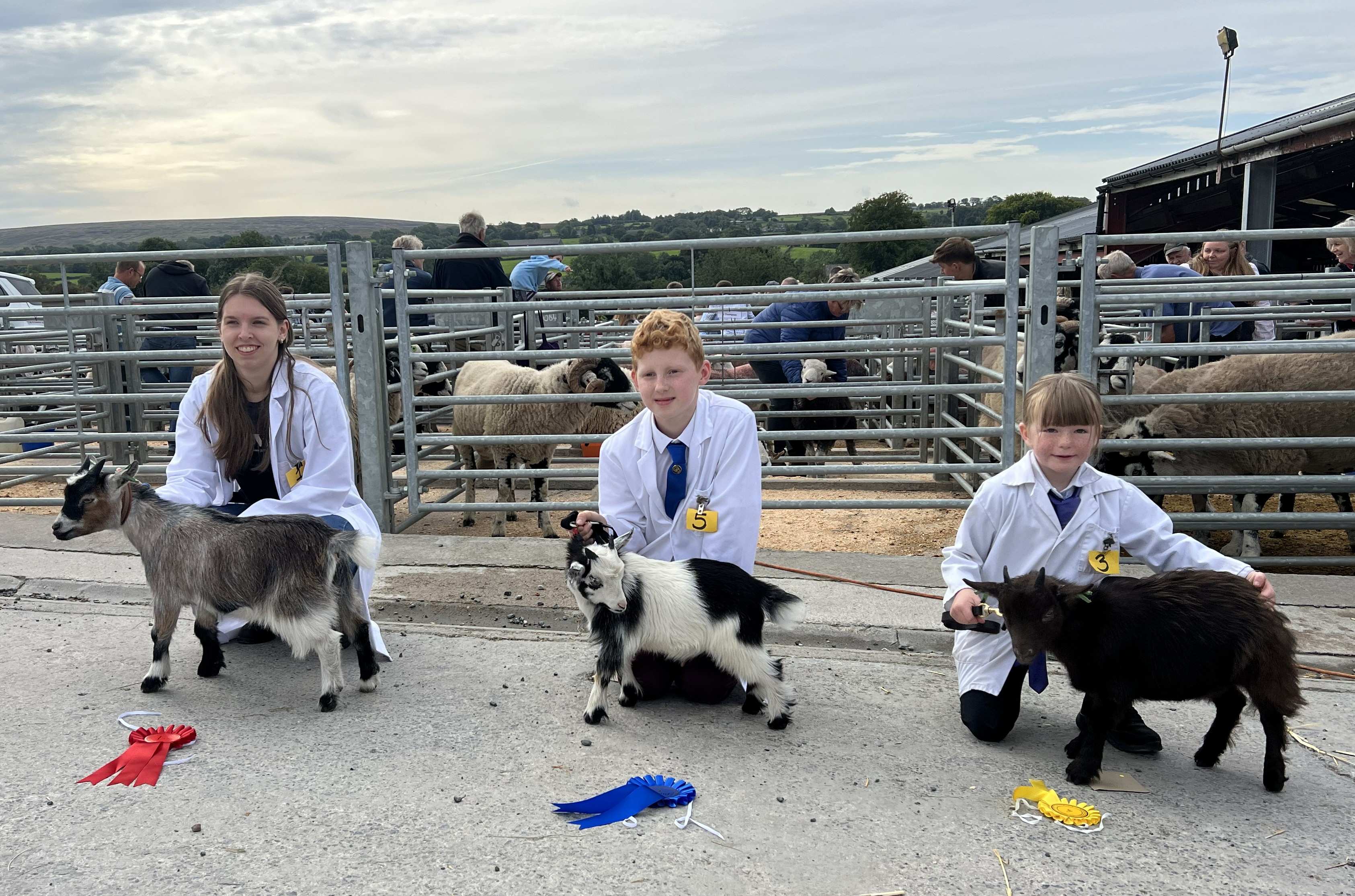 Benth01pets 8wks 1year