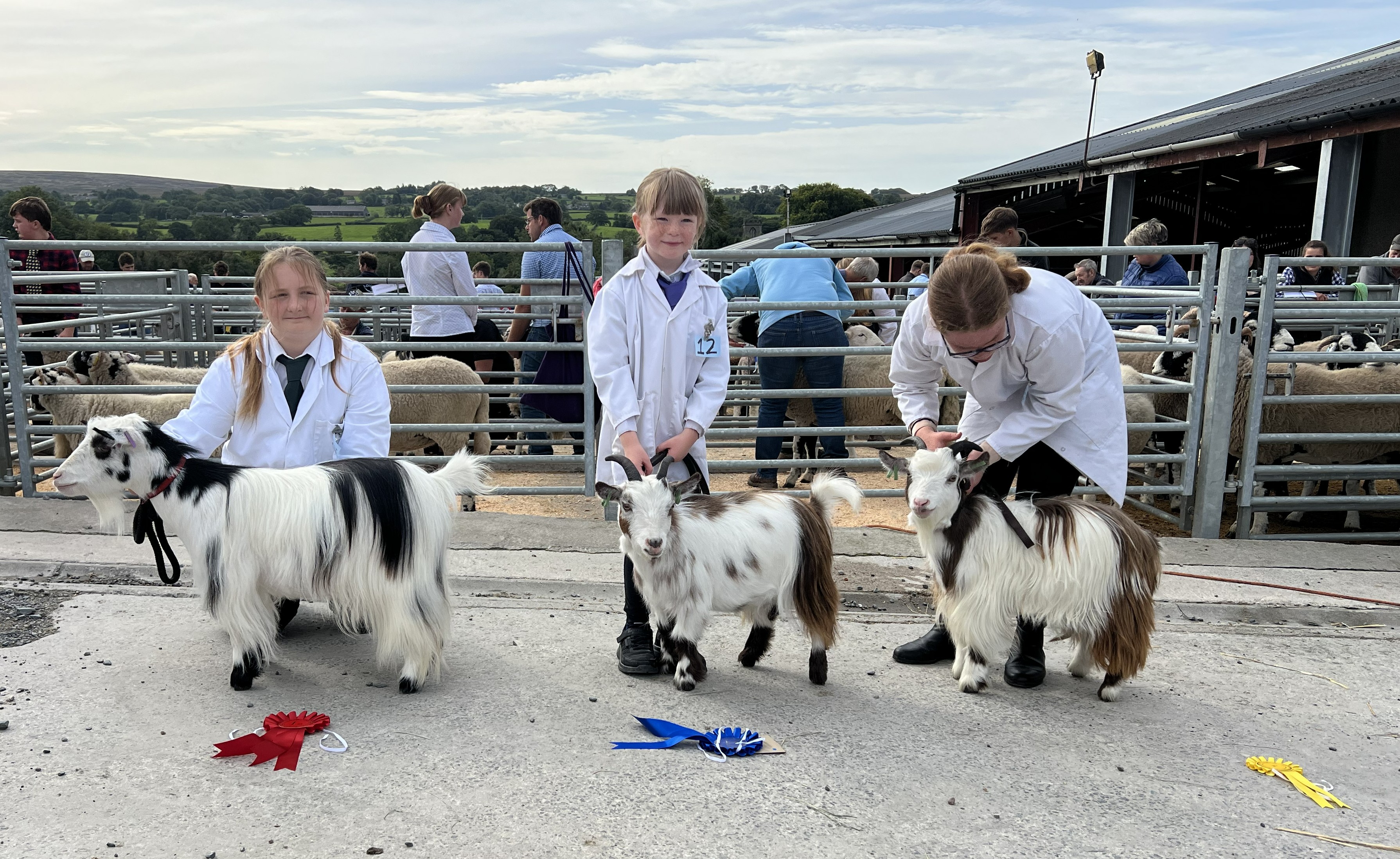 Benth02pets over 1 year