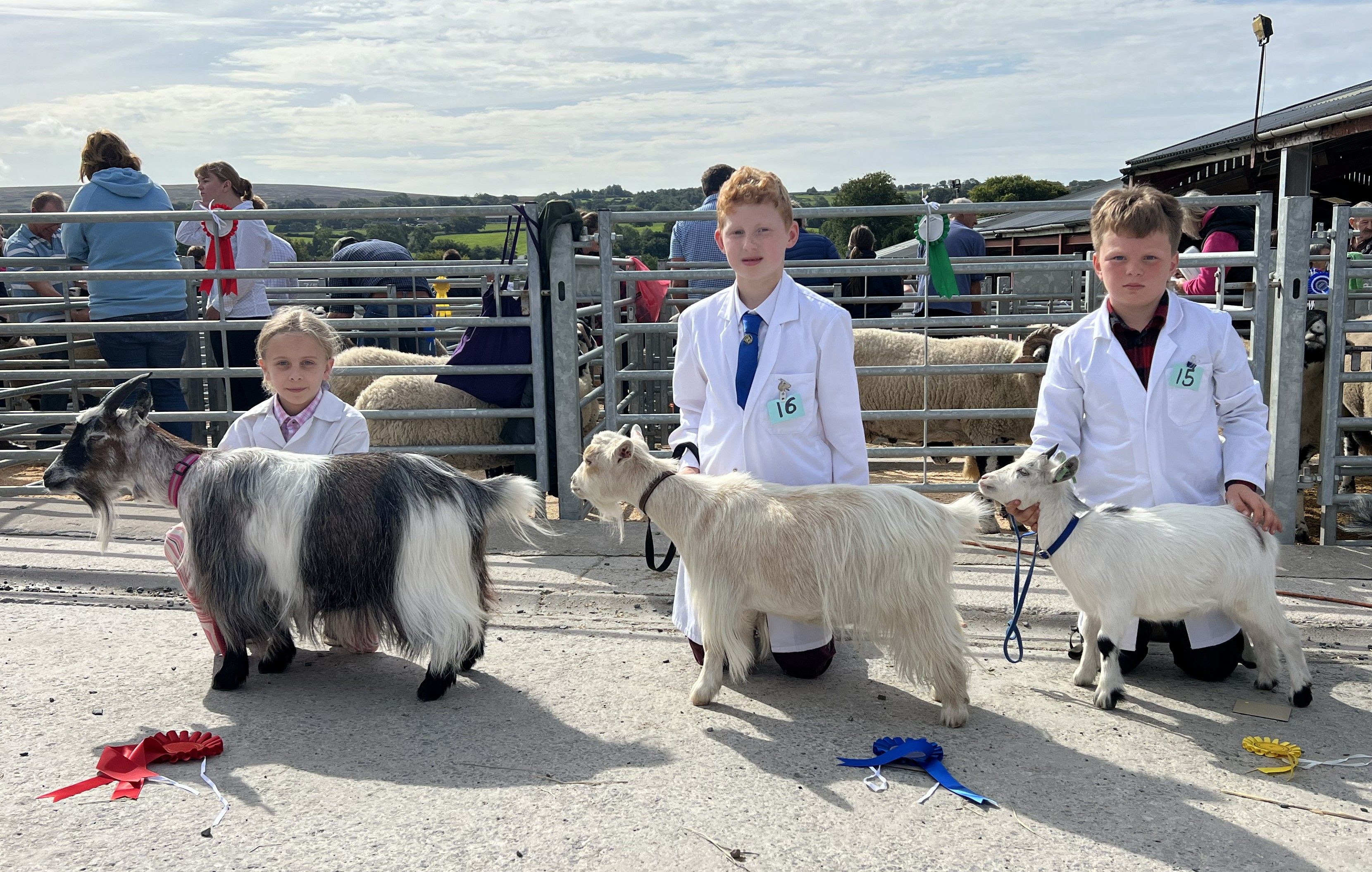 Benth03ajunior handler 10 and under