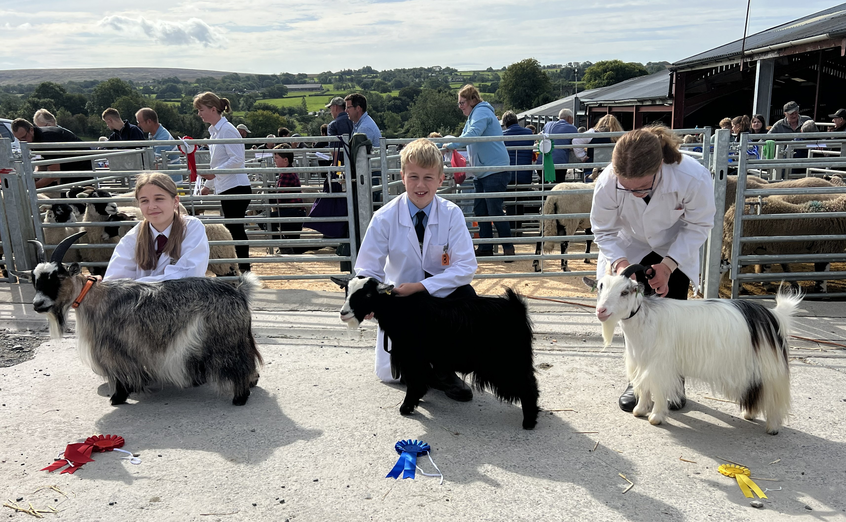 Benth03bjuniorhandler 11 and over