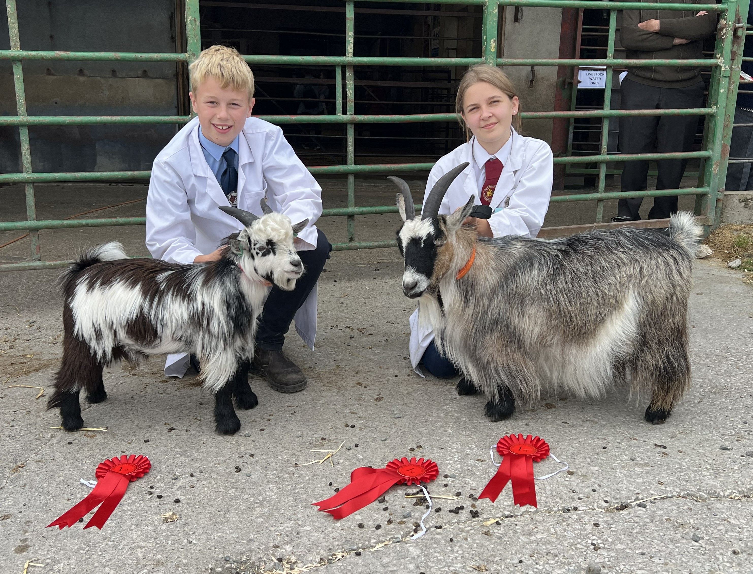 Benth10dam and progeny