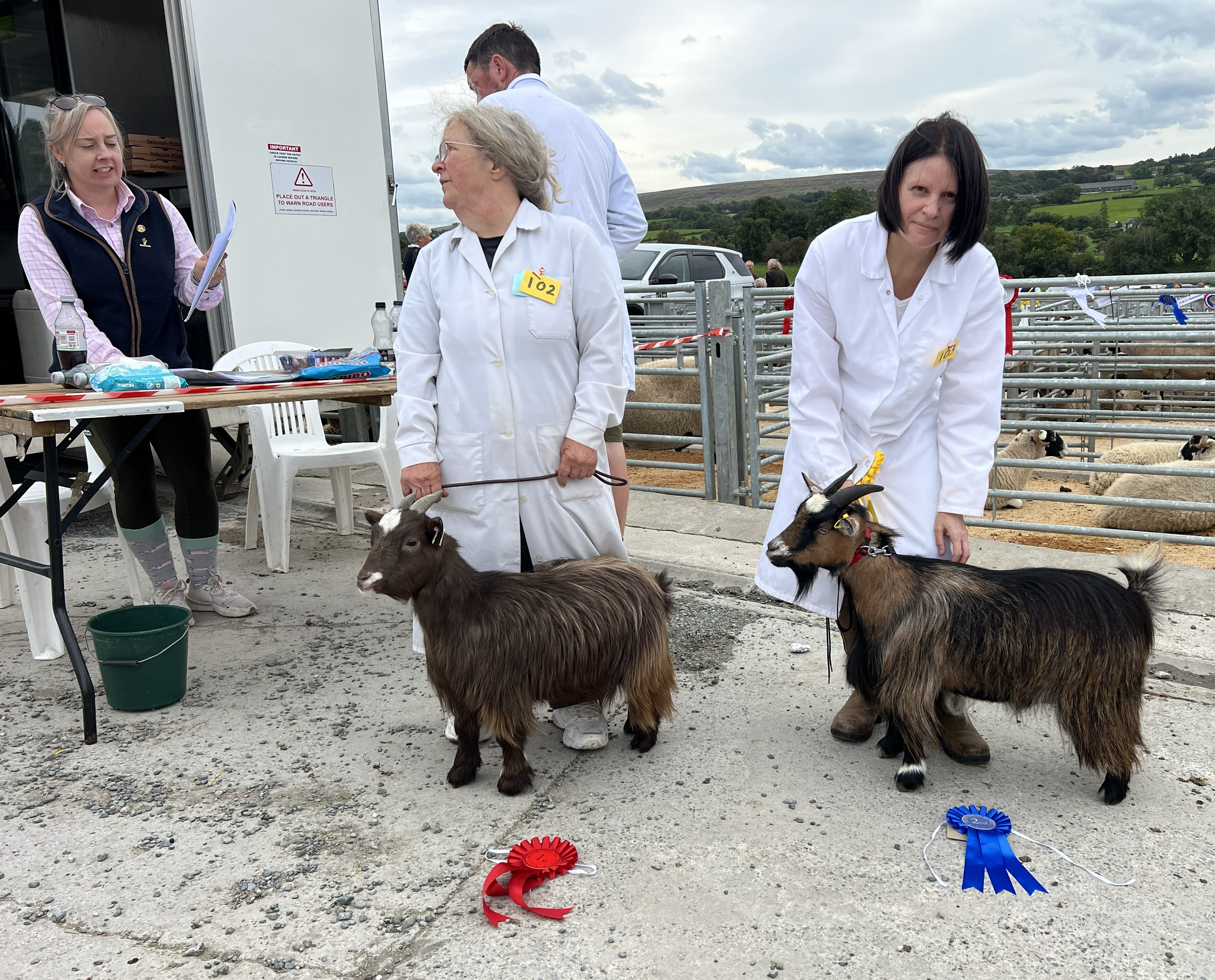 Benth12judges favourite