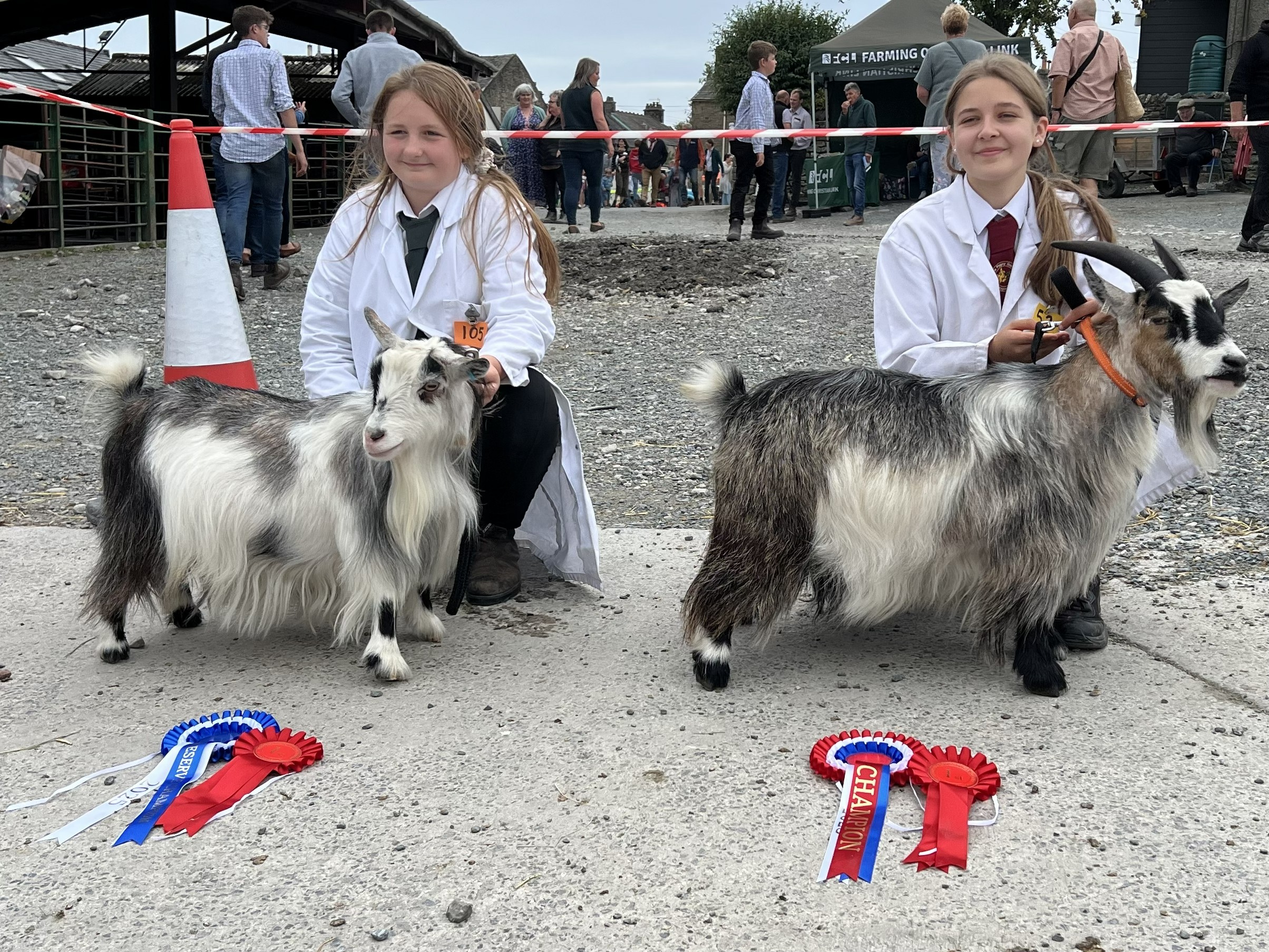 Benth14best and reserve best in show