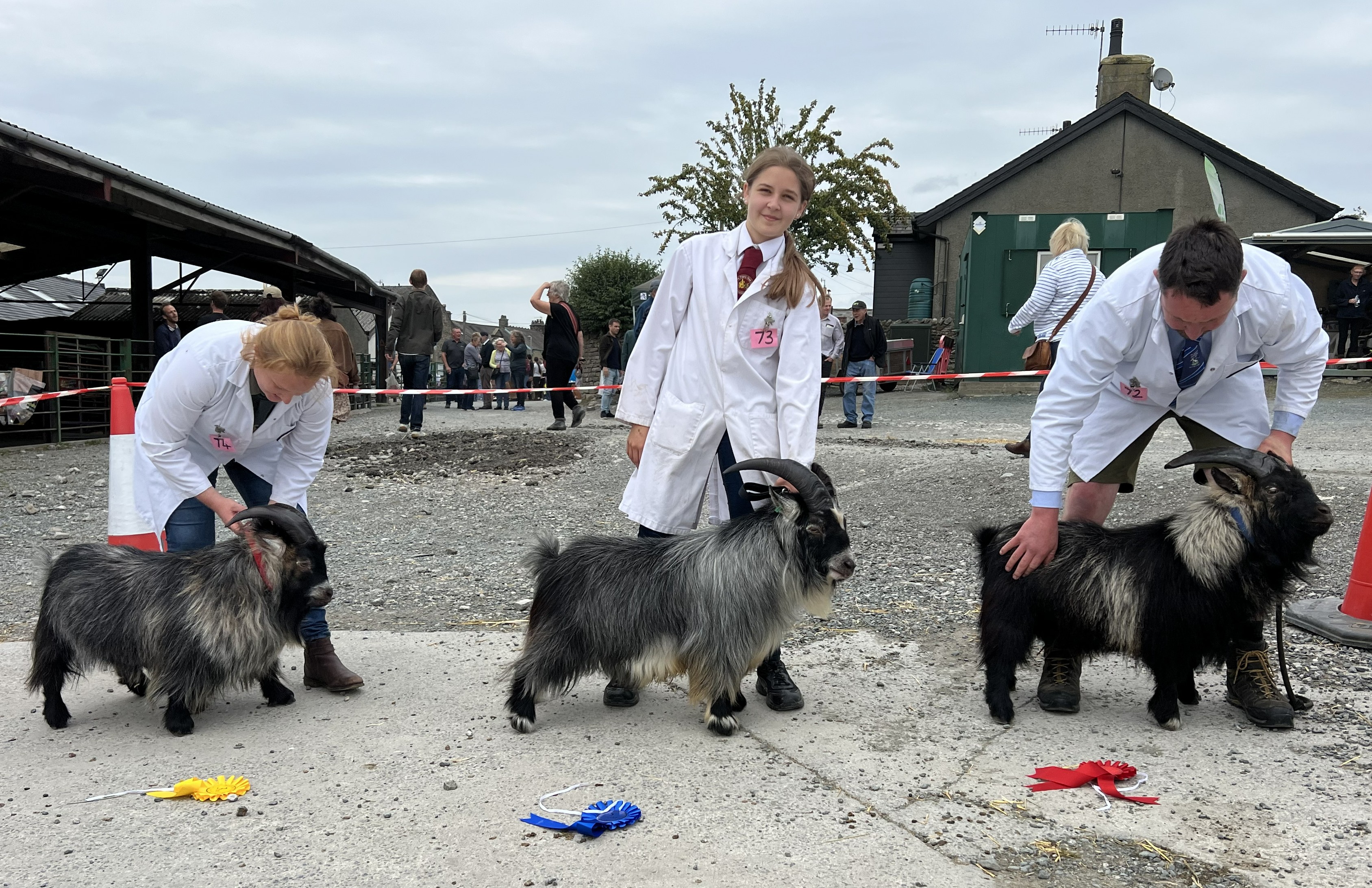 Benth8male over 1 year