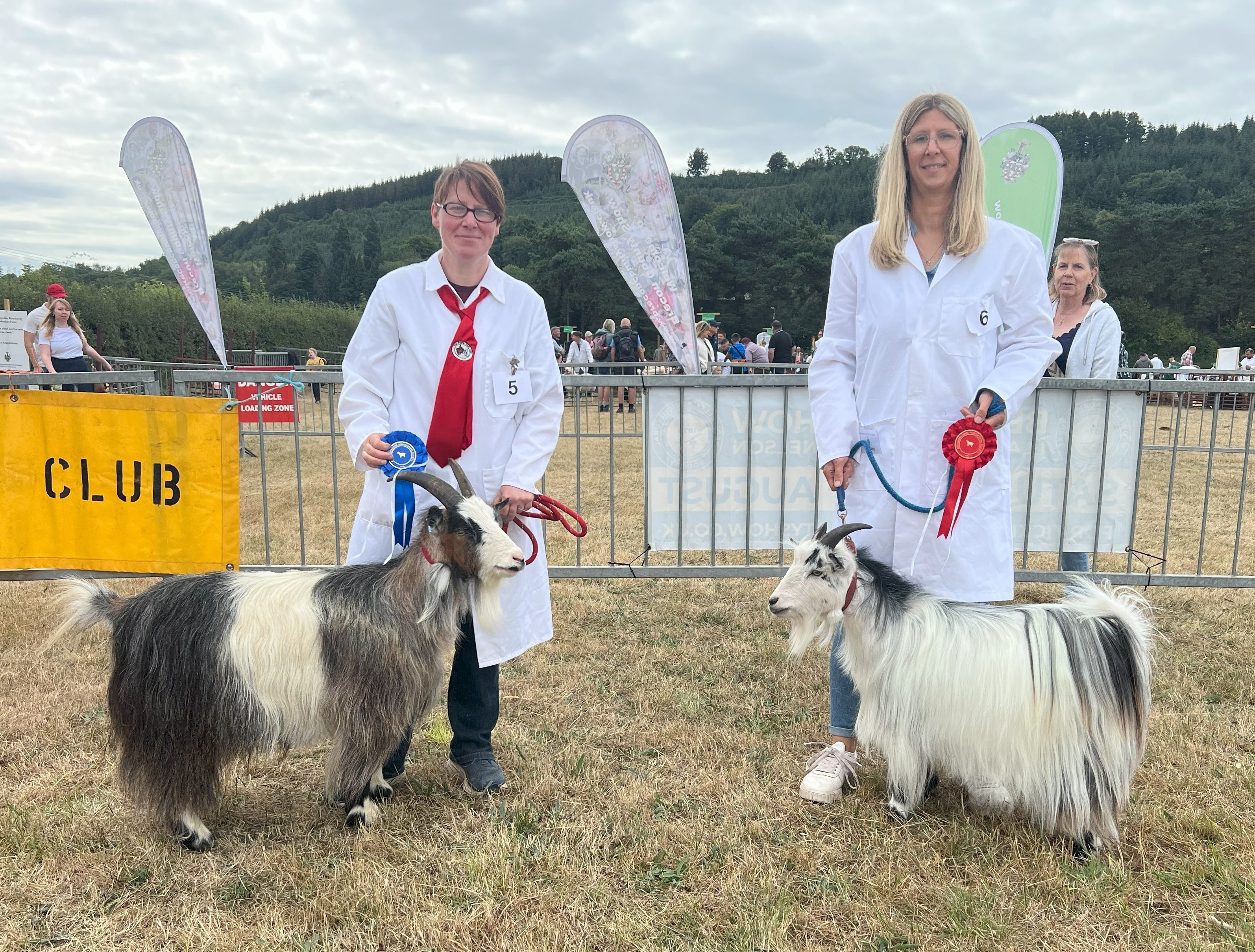 Brecon3Pet4Plus
