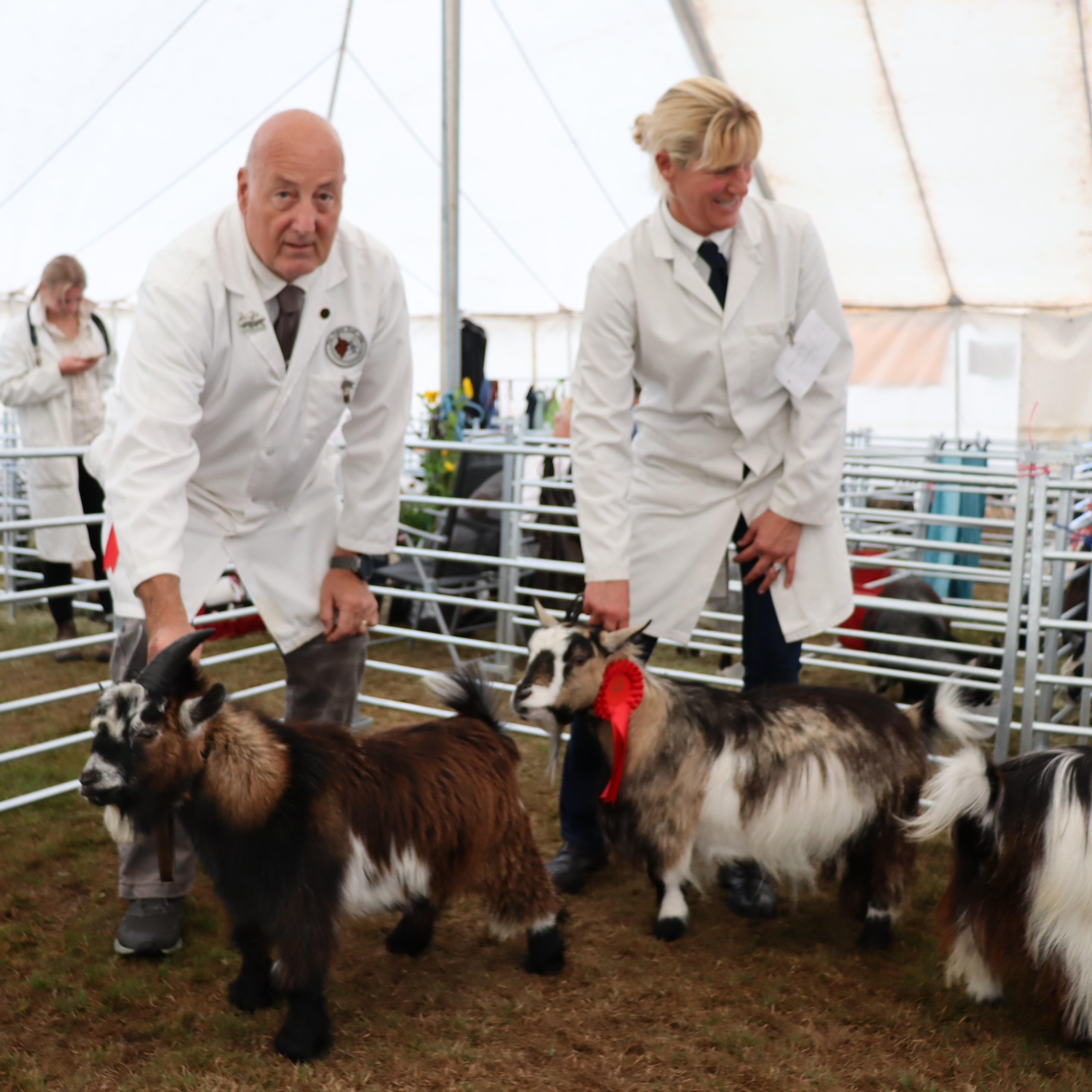 IPS14Dam and ProgenySAM