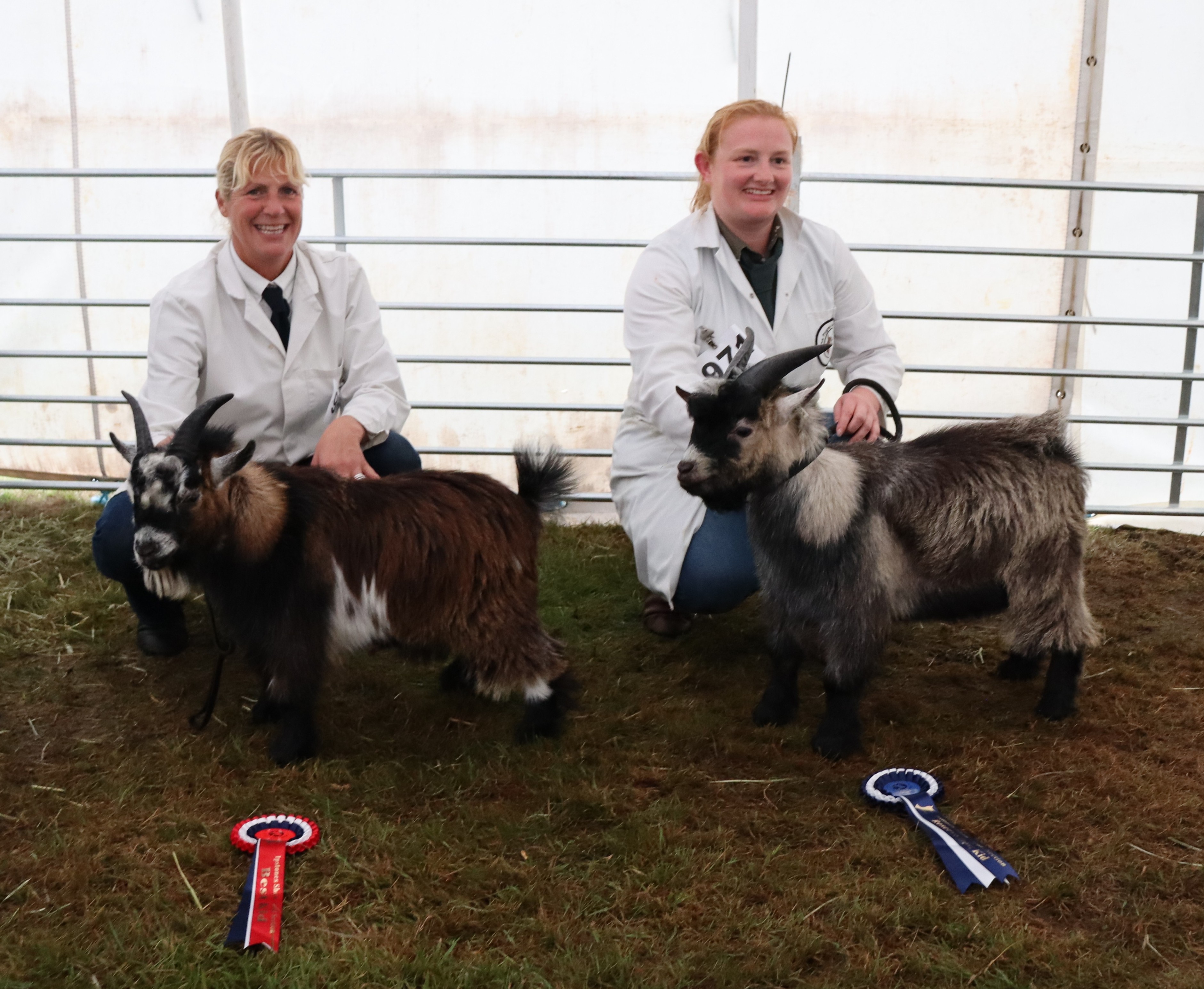 IPS15Best and reserve best male KIDSAM