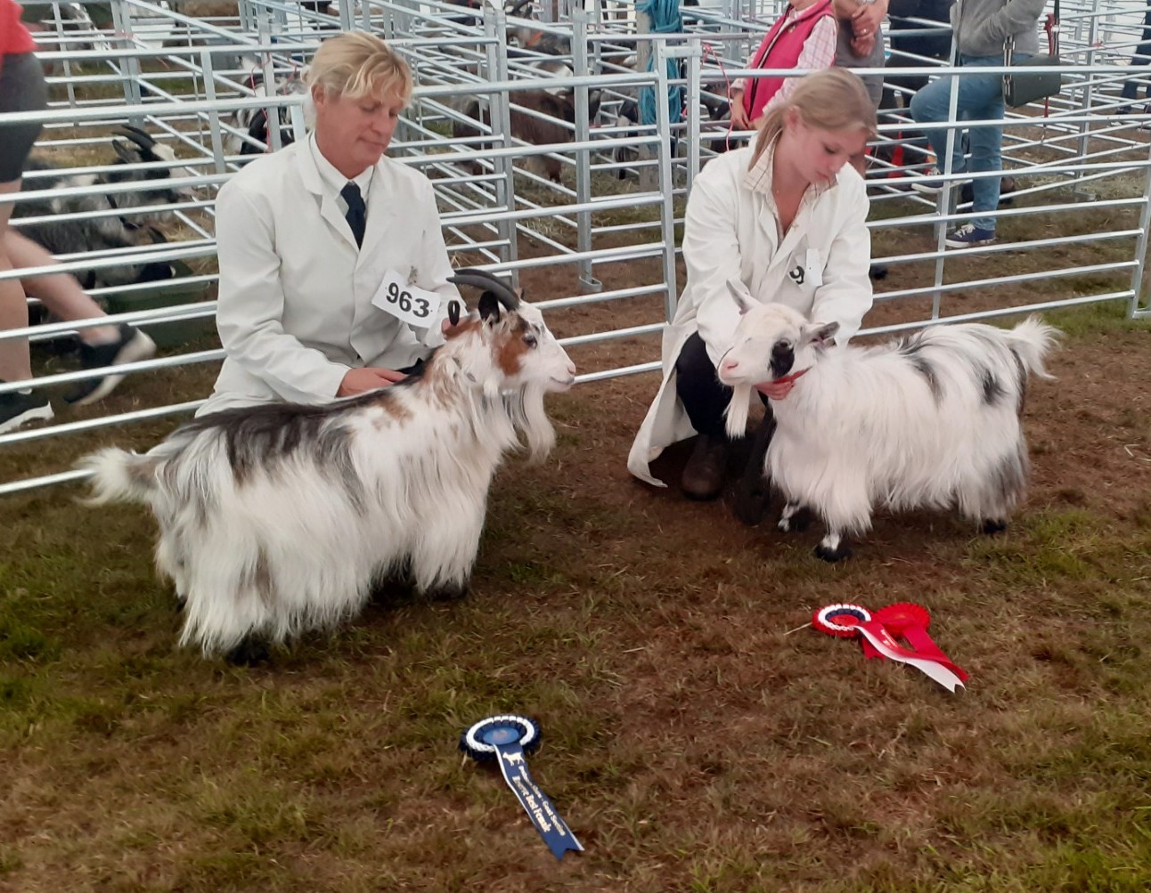 IPS16Best and reserve best femaleAGN