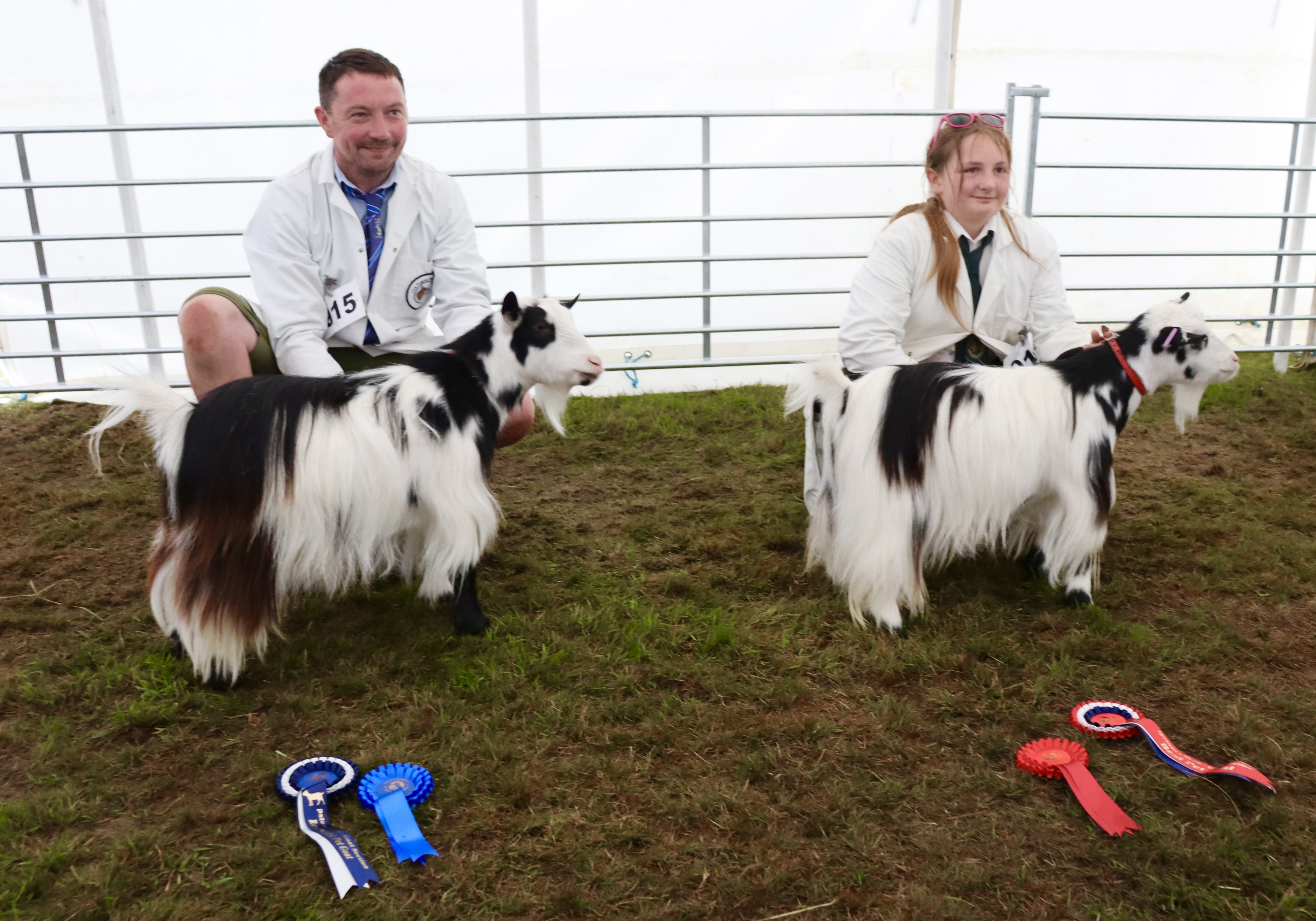 IPS18Best and reserve best petSAM