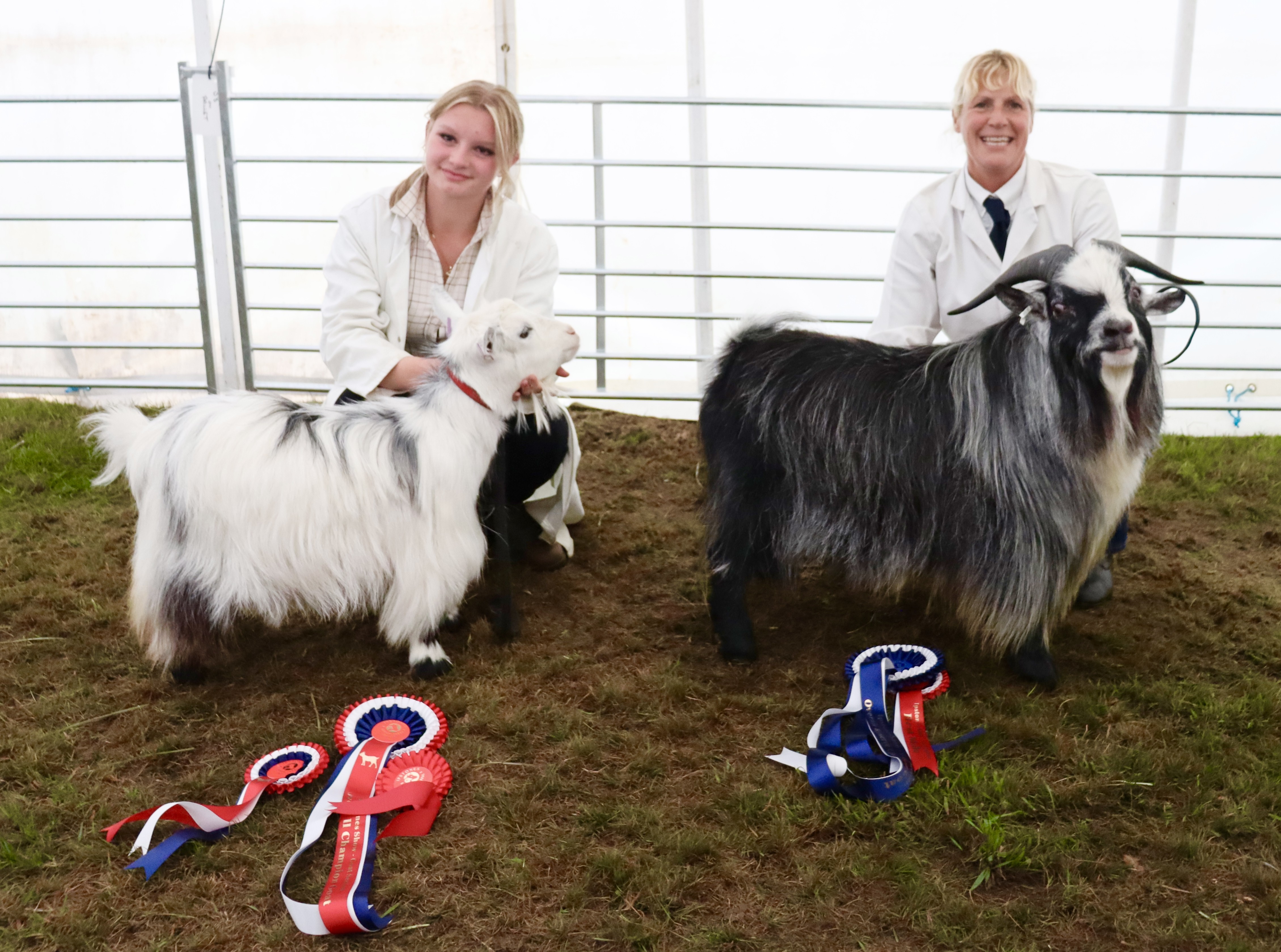 IPS19Best and reserve best in showSAM