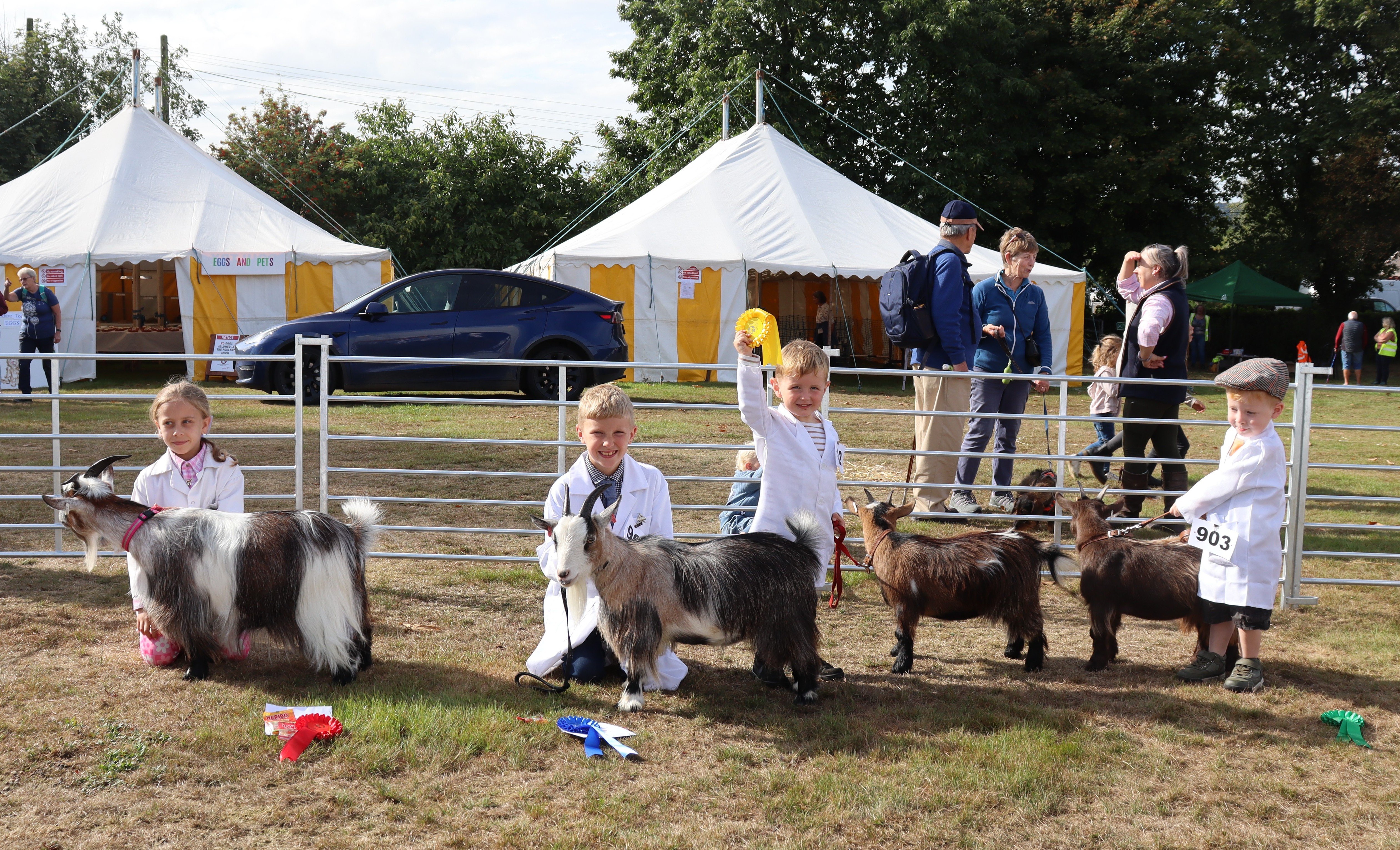 IPS1Junior Handler under 10SAM