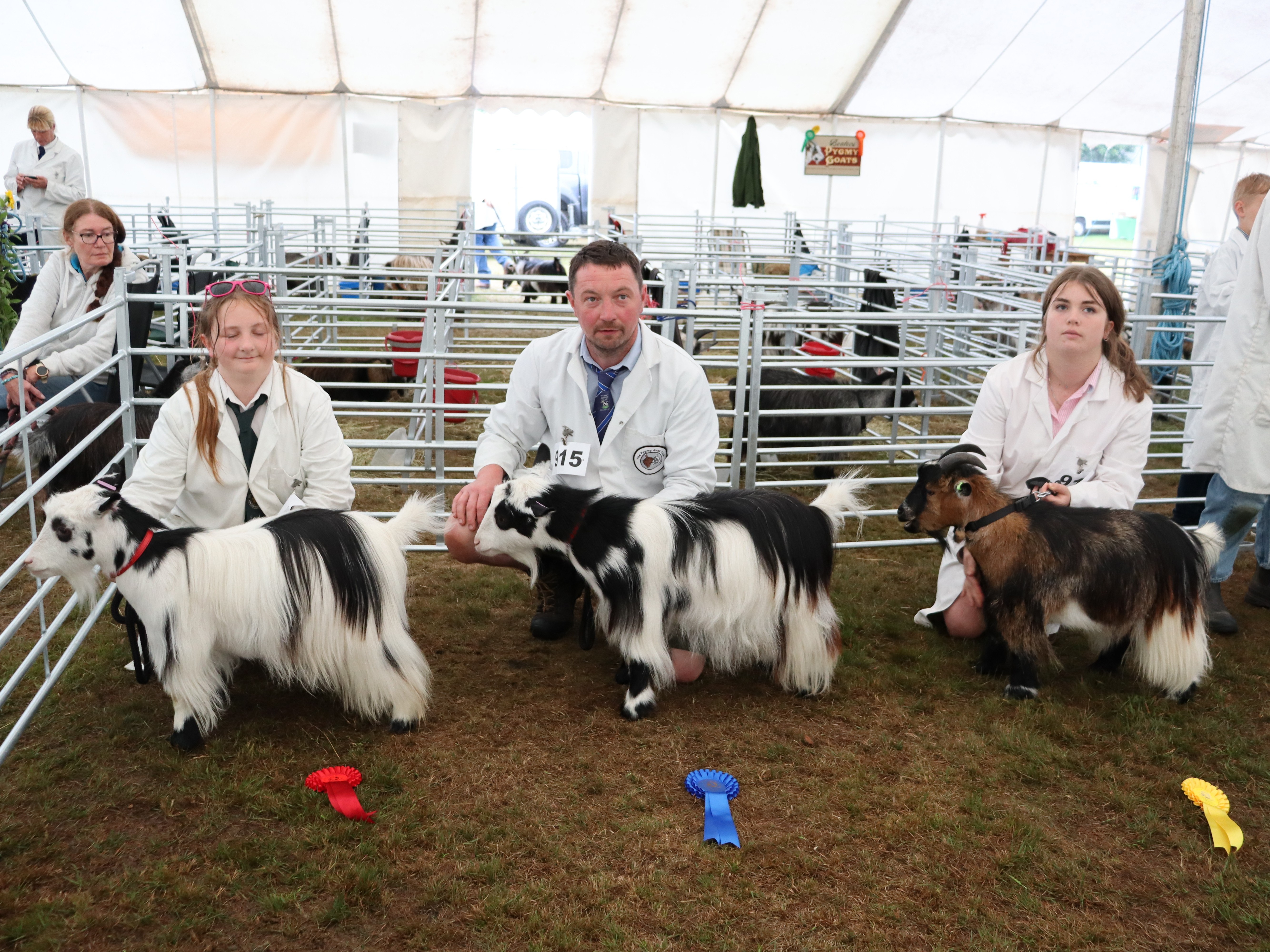 IPS5Pets 2 and overSAM