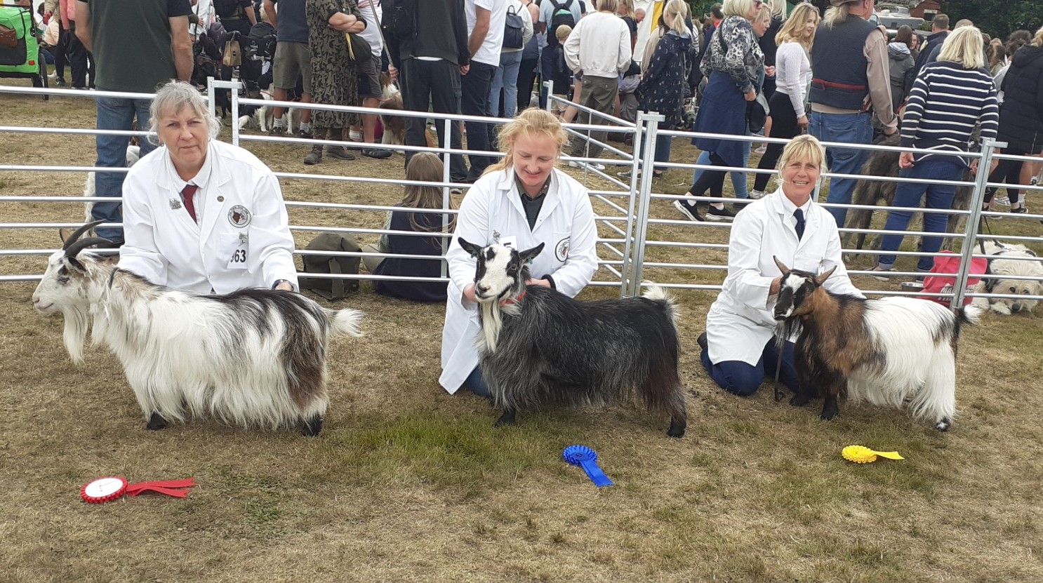 IPS9Veteran FemaleAGN