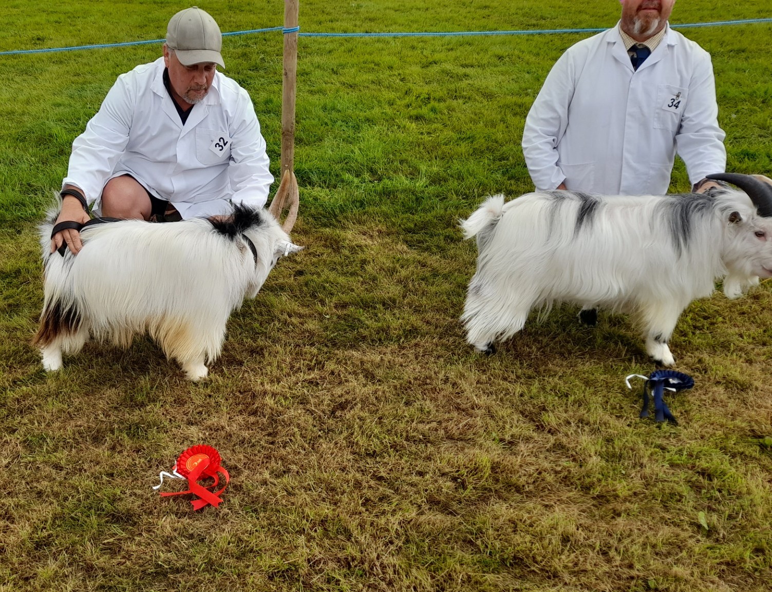 Oke7Bucklings