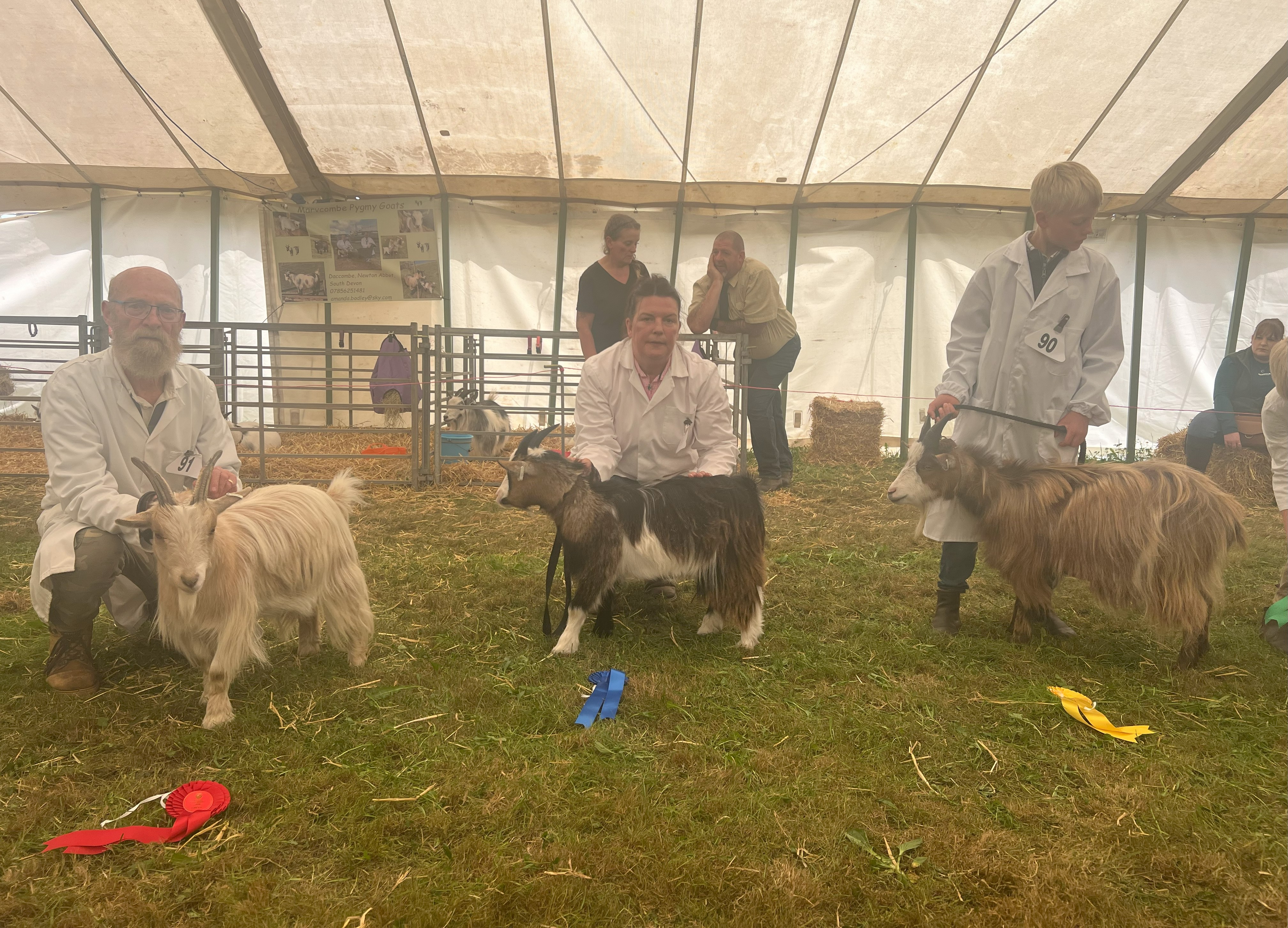 RCorn11Wethers and Pet Females
