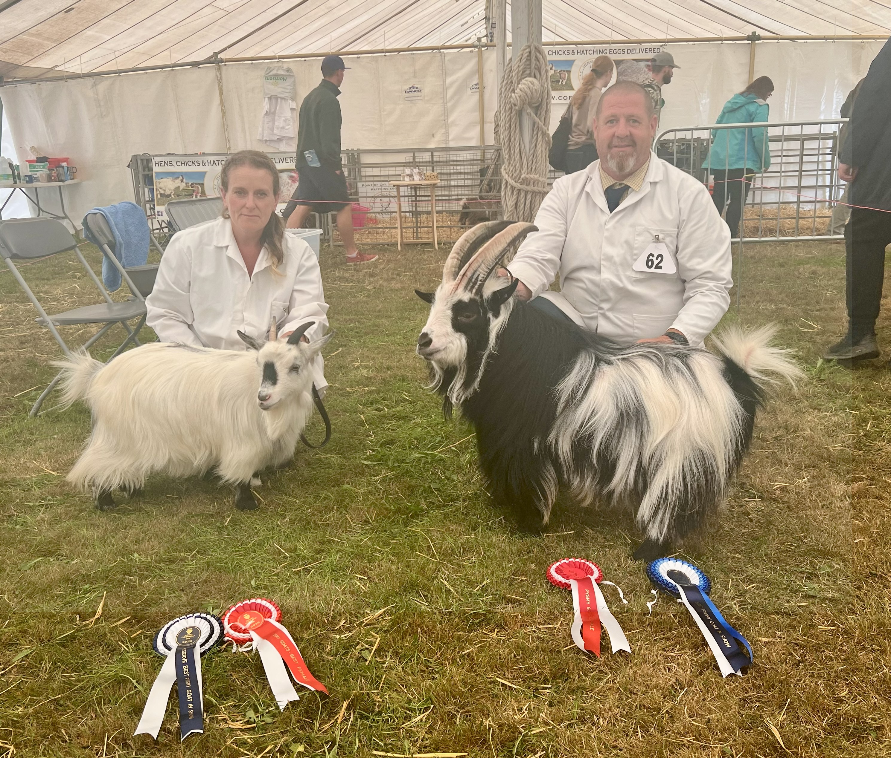 RCorn17Best and Reserve best in show