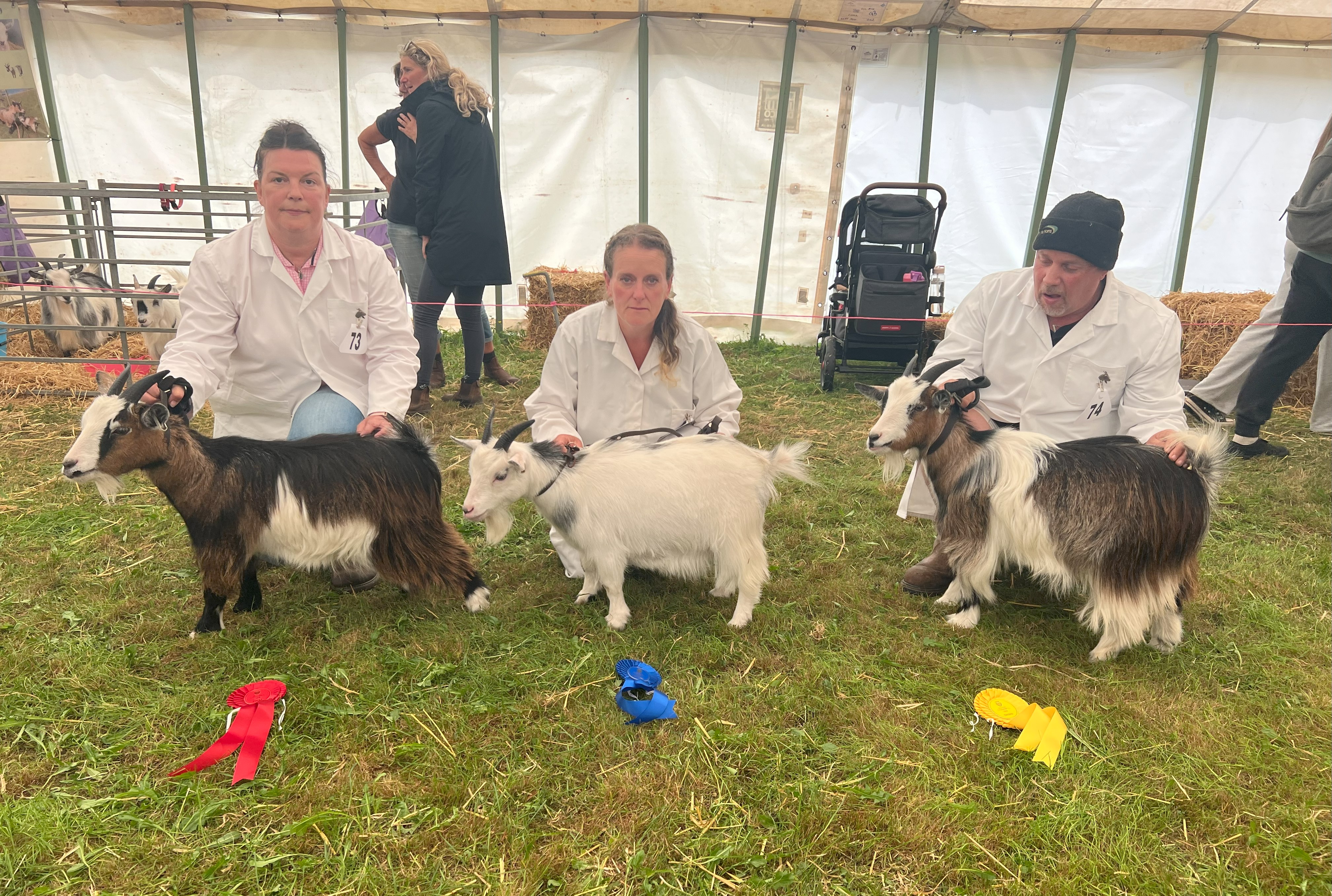 RCorn5Goatling