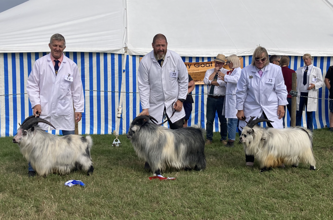 From12AM