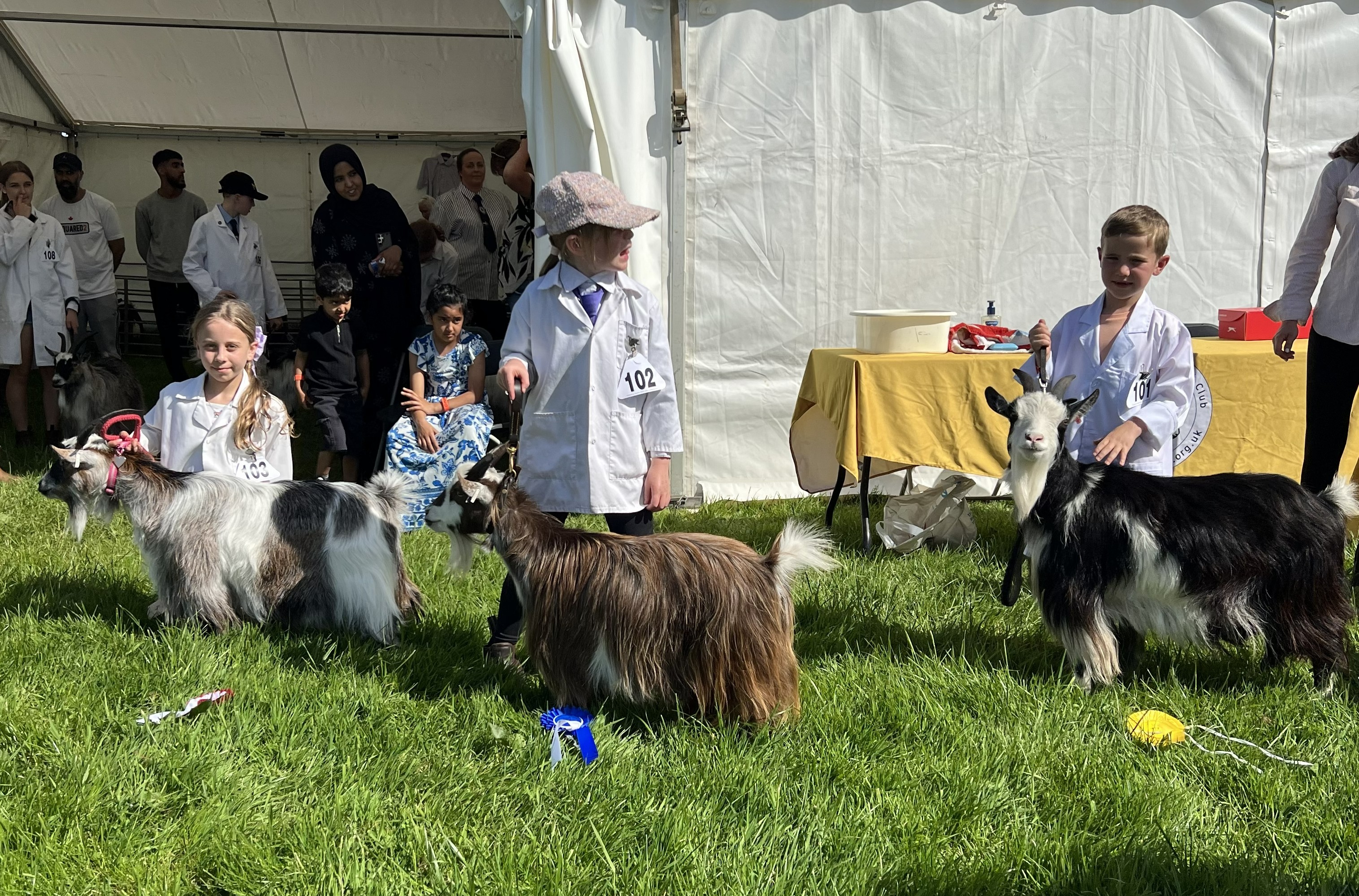 GH01Junior handler 5 10