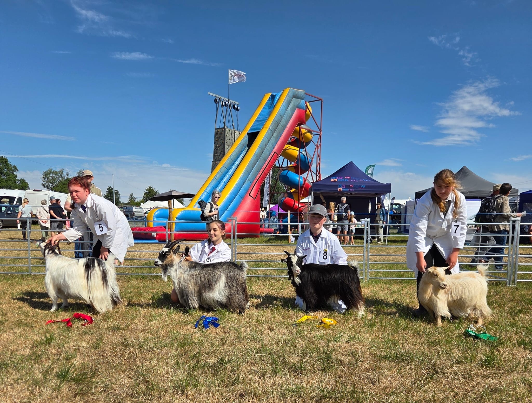 Leek02Junior Handler 11 16