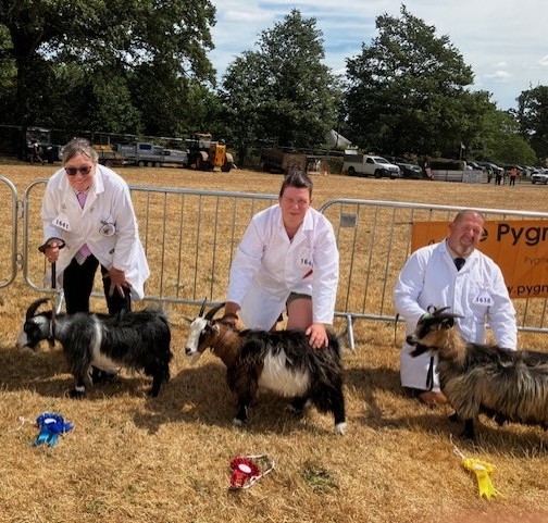 MidD08AF