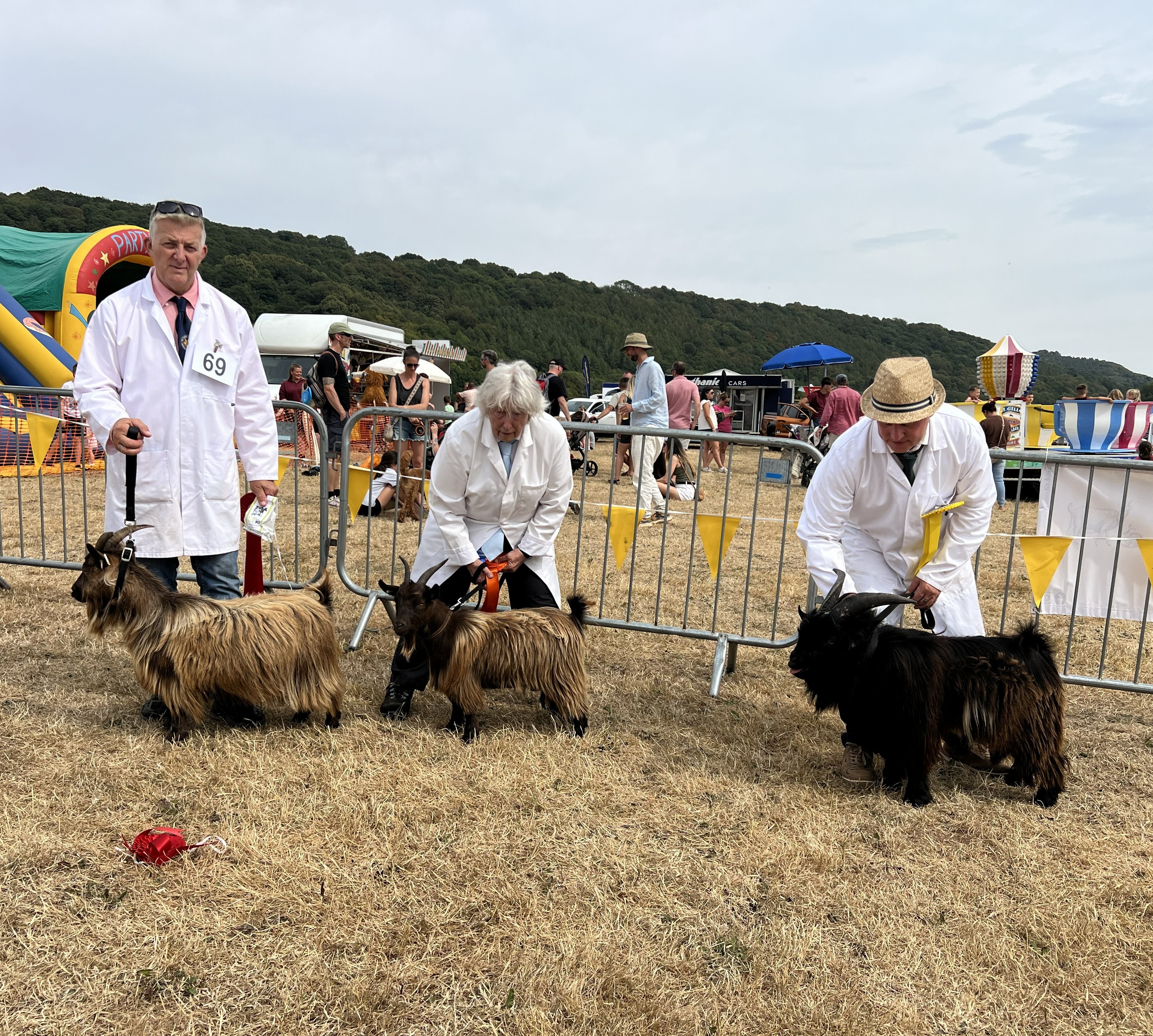 Mon14Dam and Progeny mon