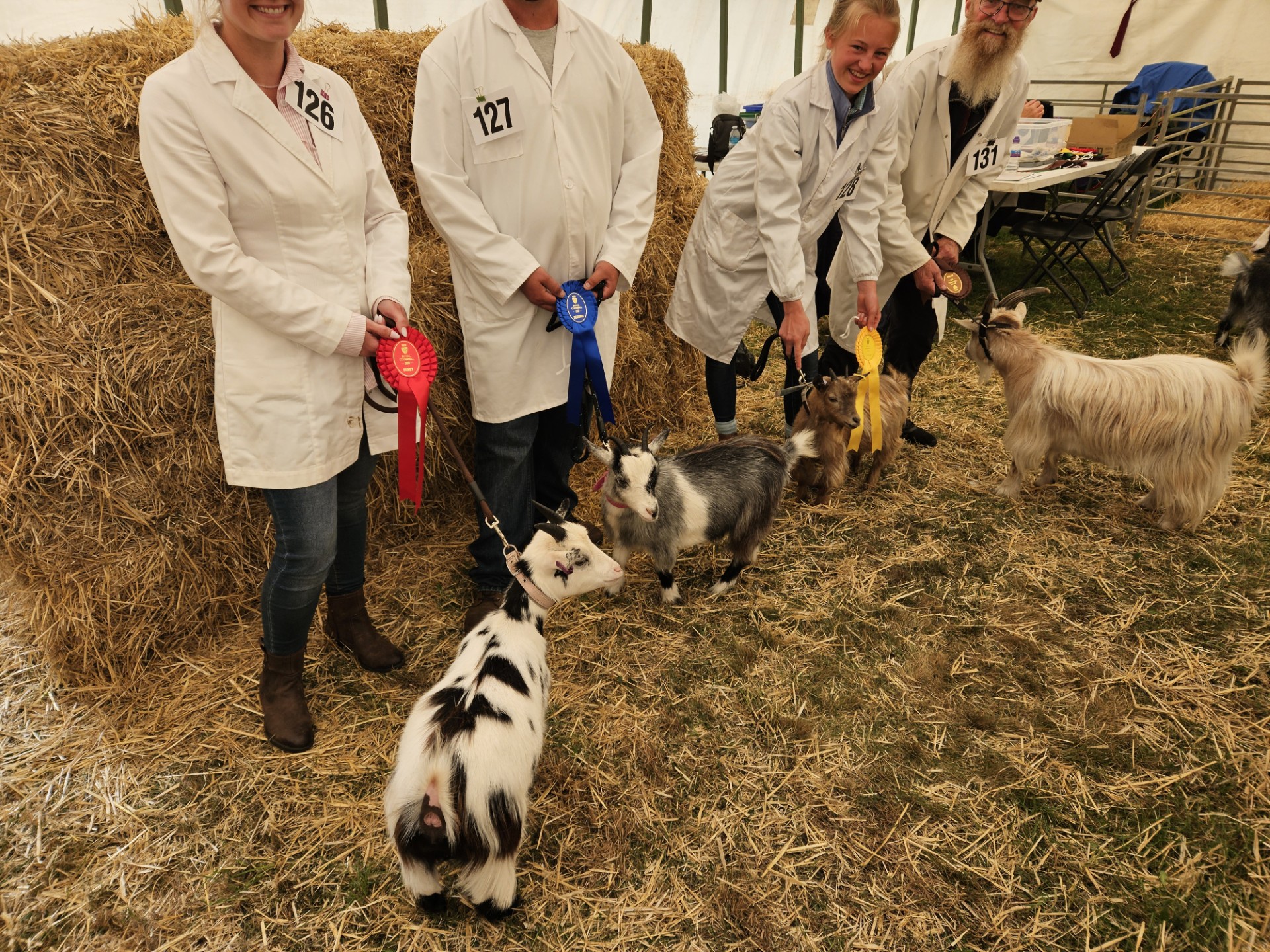 RCorn12Pets